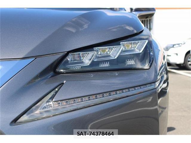 Lexus NX 2016-03 8796487-11