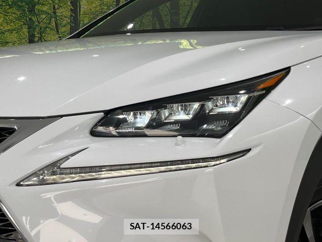 Lexus NX 2016-03 8829969-11