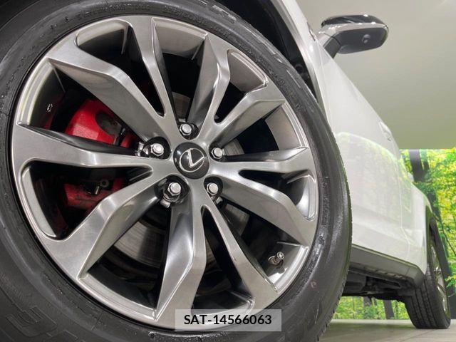Lexus NX 2016-03 8829969-12