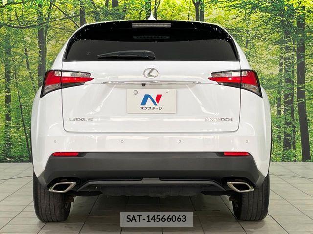 Lexus NX 2016-03 8829969-14