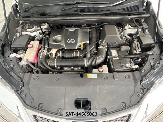 Lexus NX 2016-03 8829969-17