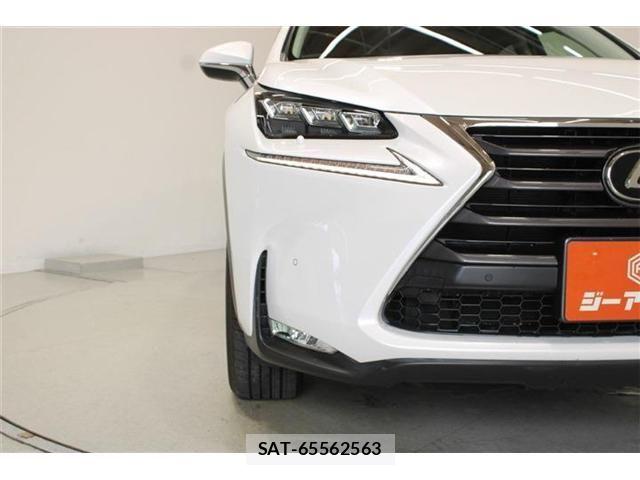 Lexus NX 2014-09 8829970-15