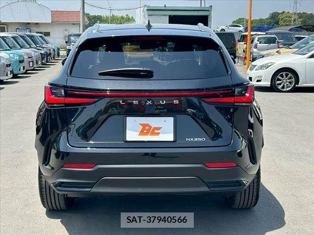 Lexus NX 2022-11 988448-13
