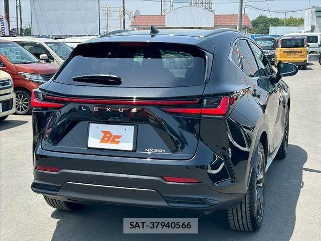 Lexus NX 2022-11 988448-14