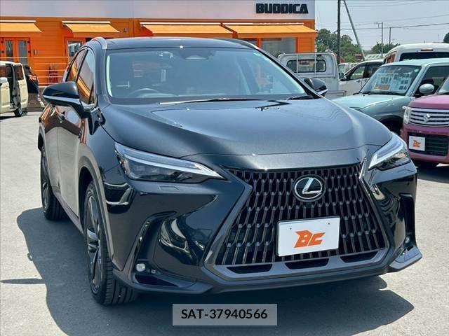 Lexus NX 2022-11 988448-7