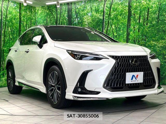Lexus NX 2022-12 1296056-16