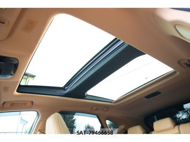 Lexus NX 2024-12 2400911-20