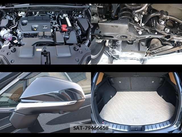 Lexus NX 2024-12 2400911-25