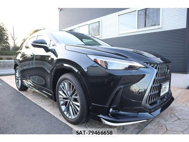 Lexus NX 2024-12 2400911-2