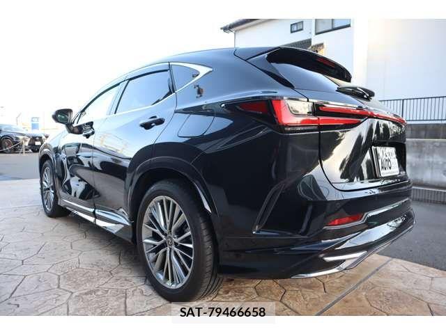 Lexus NX 2024-12 2400911-4