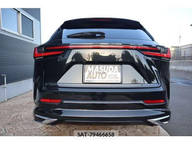 Lexus NX 2024-12 2400911-5