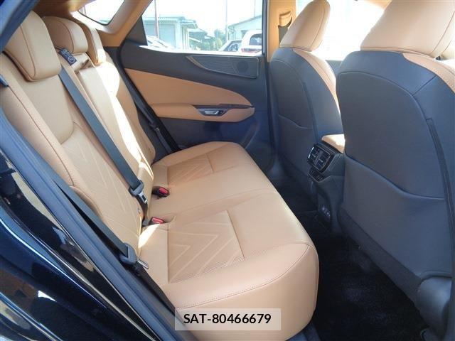 Lexus NX 2023-02 4044673-17