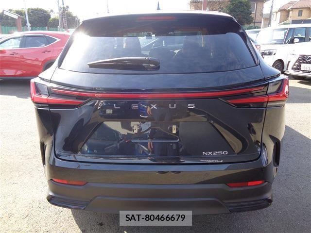 Lexus NX 2023-02 4044673-6