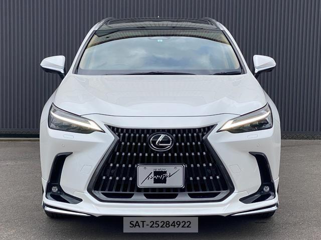 Lexus NX 2023-12 4044669-3