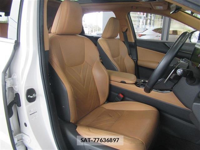 Lexus NX 2023-03 4639599-13