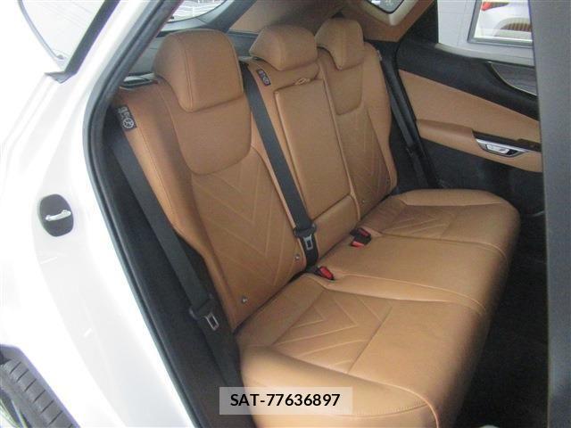 Lexus NX 2023-03 4639599-14