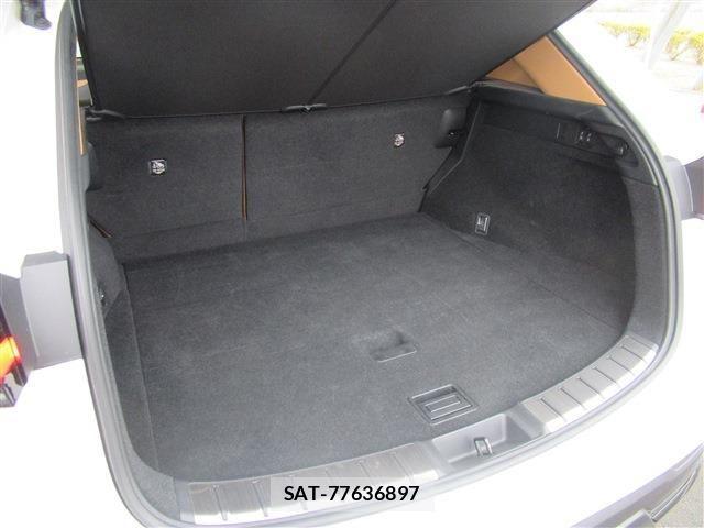 Lexus NX 2023-03 4639599-15