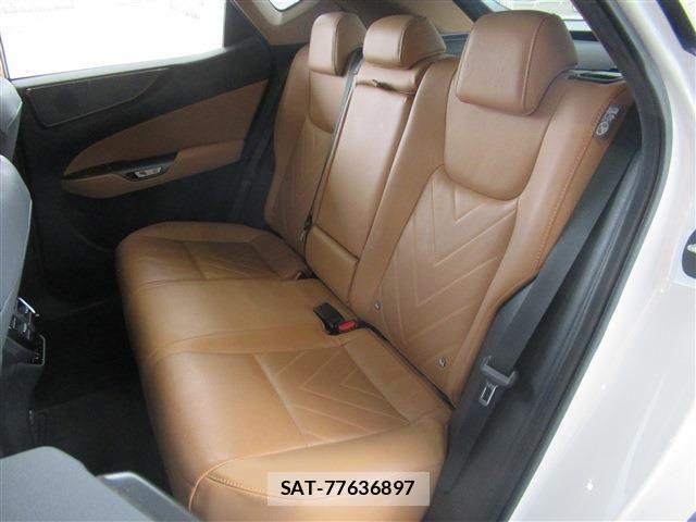 Lexus NX 2023-03 4639599-16