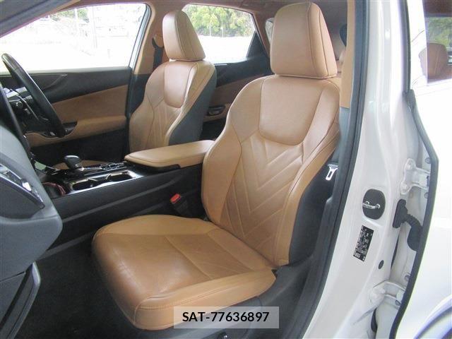 Lexus NX 2023-03 4639599-17