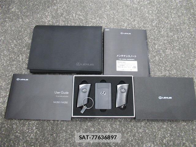 Lexus NX 2023-03 4639599-19
