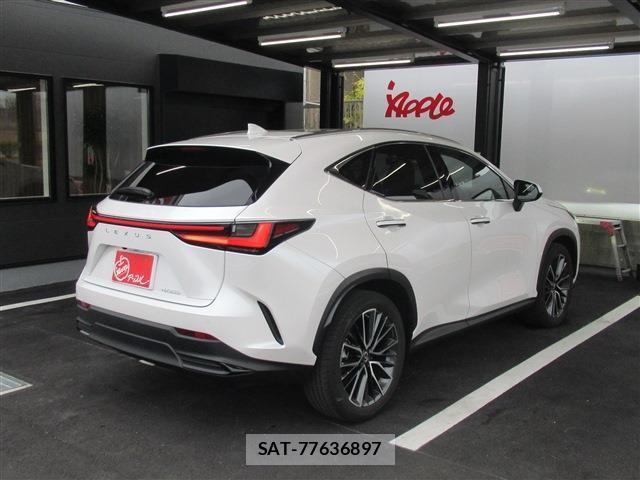 Lexus NX 2023-03 4639599-3