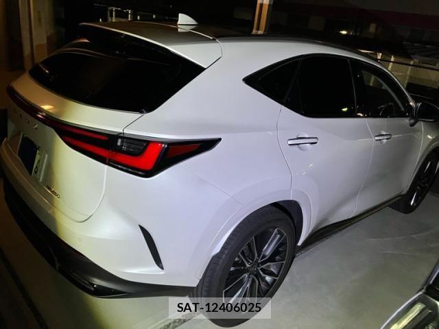 Lexus NX 2025-03 6641849-0