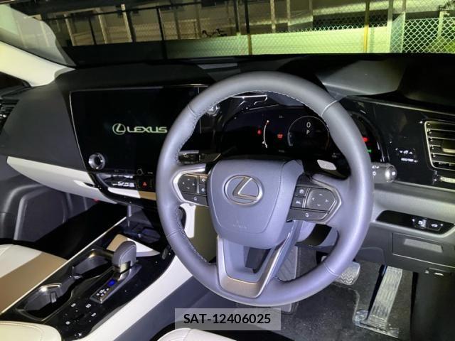 Lexus NX 2025-03 6641849-17