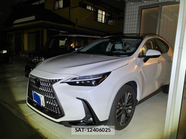 Lexus NX 2025-03 6641849-1