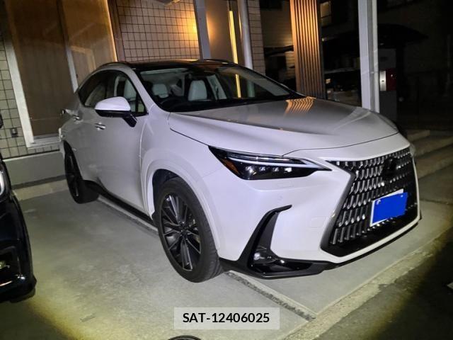 Lexus NX 2025-03 6641849-6