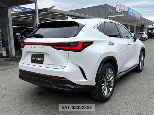 Lexus NX 2023-05 6716532-24