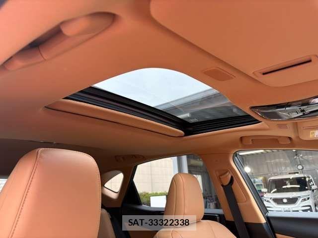 Lexus NX 2023-05 6716532-8