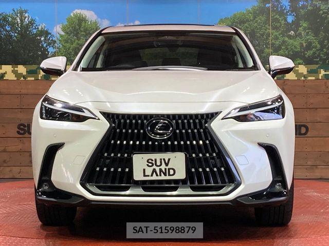 Lexus NX 2023-03 7059272-13