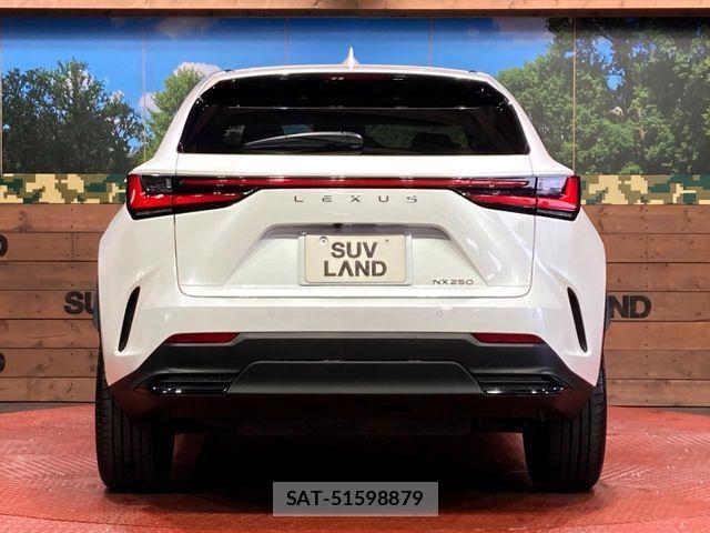 Lexus NX 2023-03 7059272-14