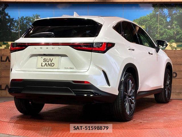 Lexus NX 2023-03 7059272-16