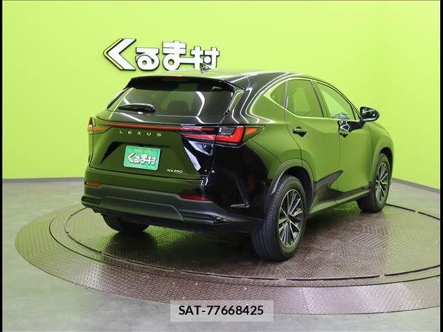 Lexus NX 2024-02 7221010-1