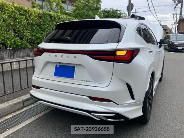 Lexus NX 2024-09 7221012-4