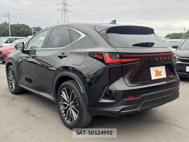 Lexus NX 2024-10 7221011-12