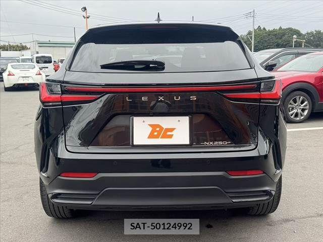 Lexus NX 2024-10 7221011-13