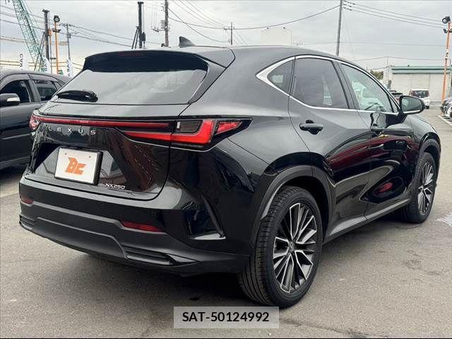 Lexus NX 2024-10 7221011-14