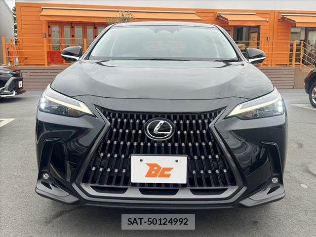 Lexus NX 2024-10 7221011-8