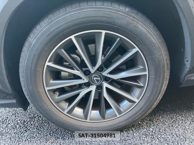 Lexus NX 2023-12 7251332-9