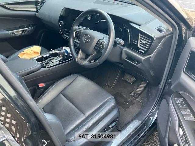Lexus NX 2023-12 7251332-14