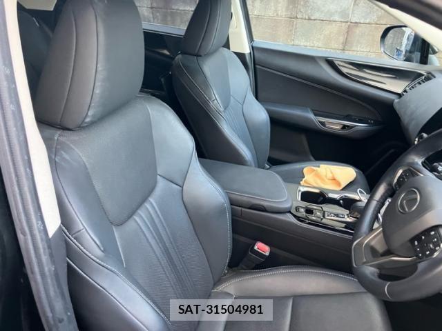 Lexus NX 2023-12 7251332-15
