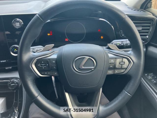 Lexus NX 2023-12 7251332-22