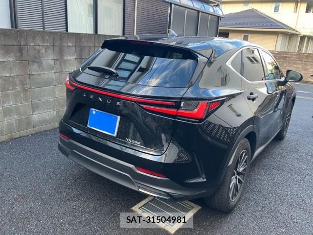 Lexus NX 2023-12 7251332-4