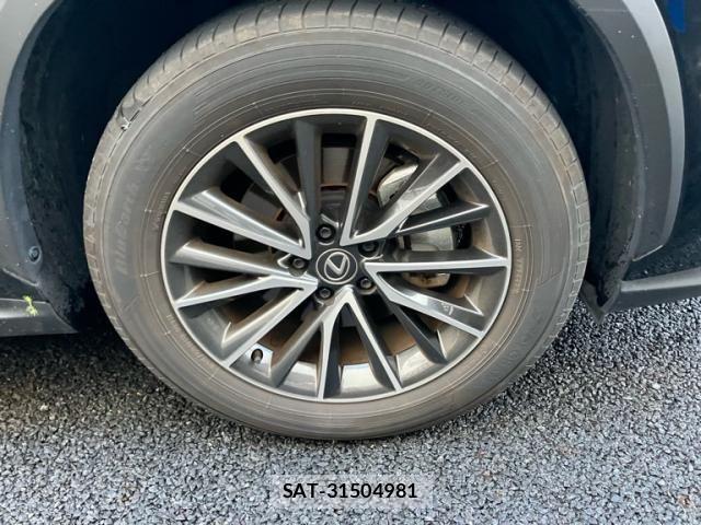 Lexus NX 2023-12 7251332-6