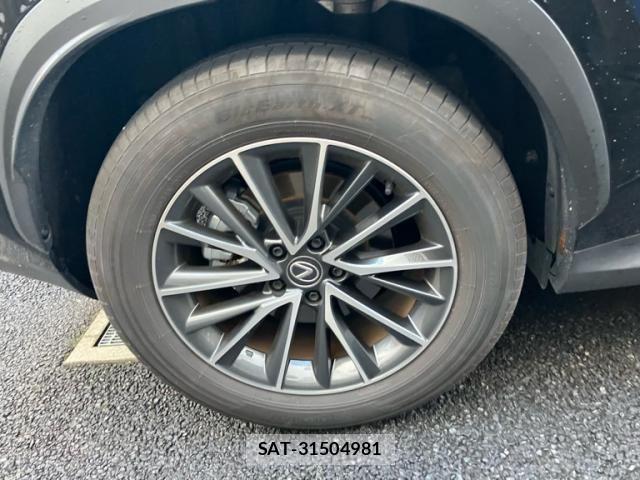 Lexus NX 2023-12 7251332-7