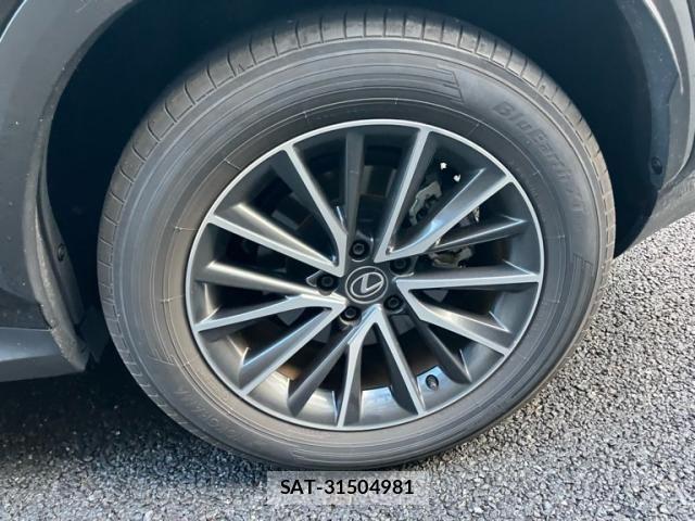 Lexus NX 2023-12 7251332-8