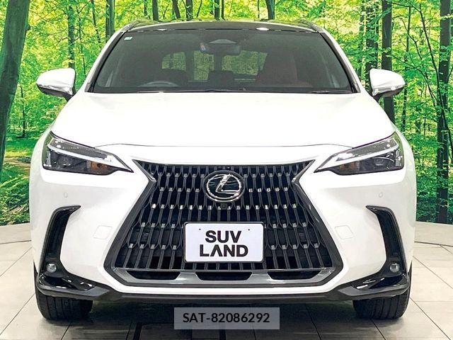 Lexus NX 2023-03 7261843-14