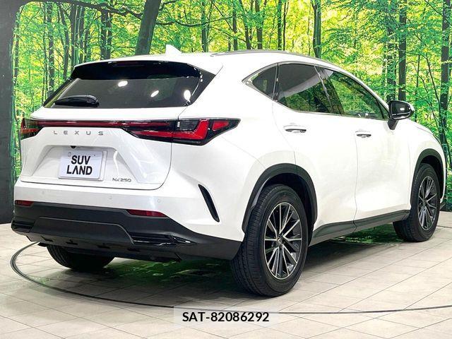 Lexus NX 2023-03 7261843-16